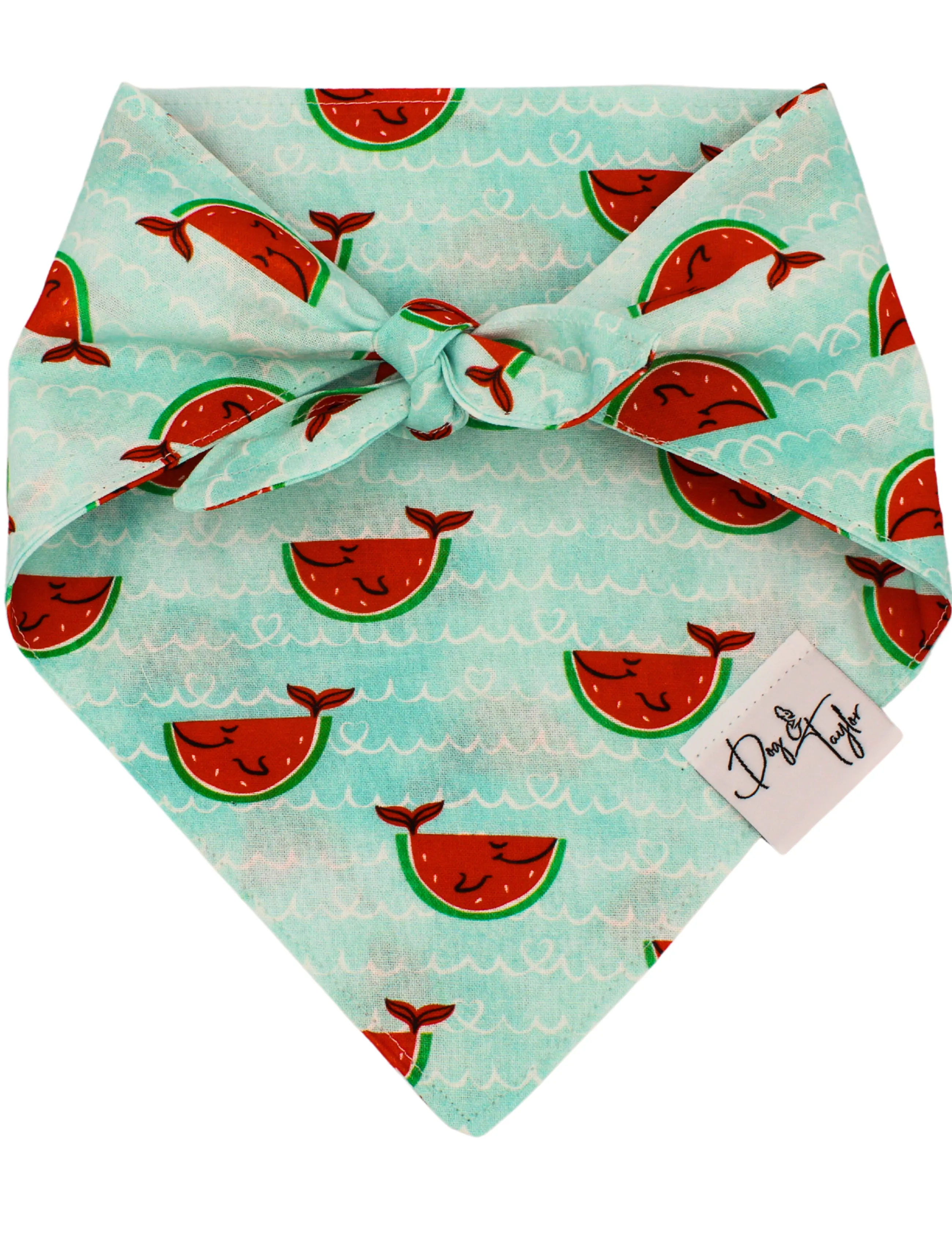 Happy Watermelon Fish Bandana