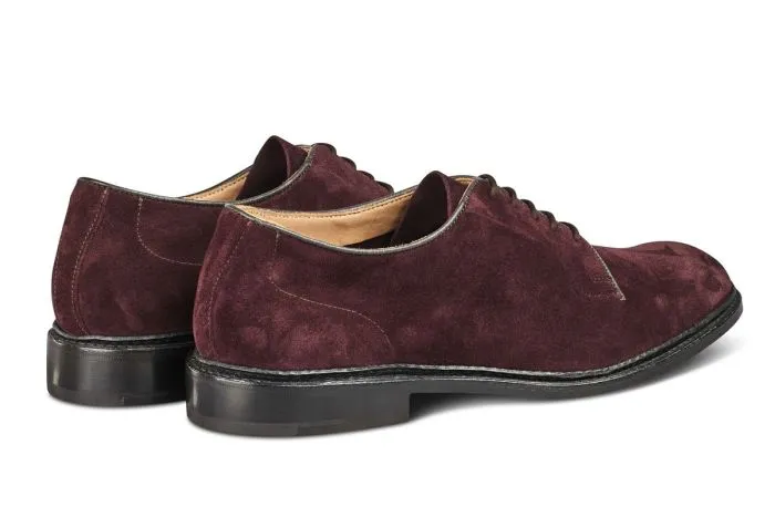 Robert Derby Shoe - Barolo Suede