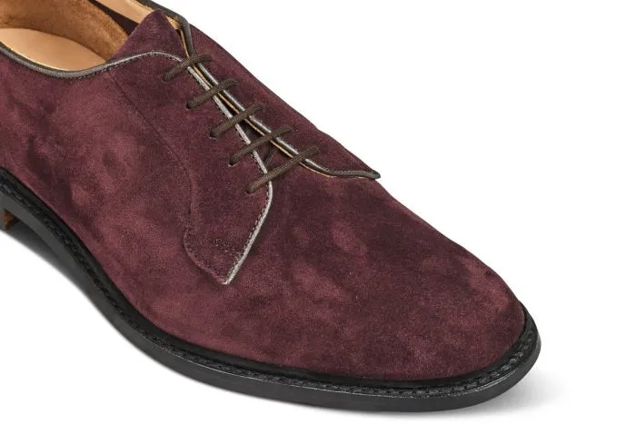 Robert Derby Shoe - Barolo Suede