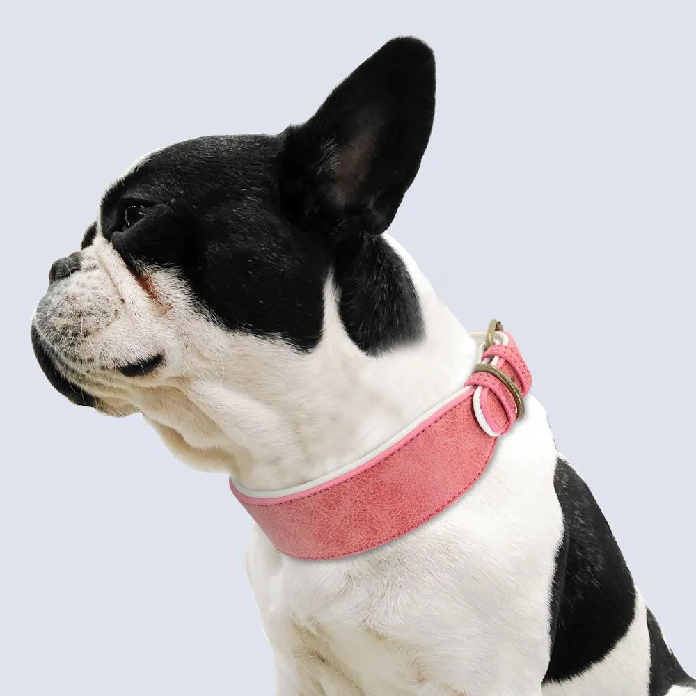 Soft Padded Wide Leather Dog Collar