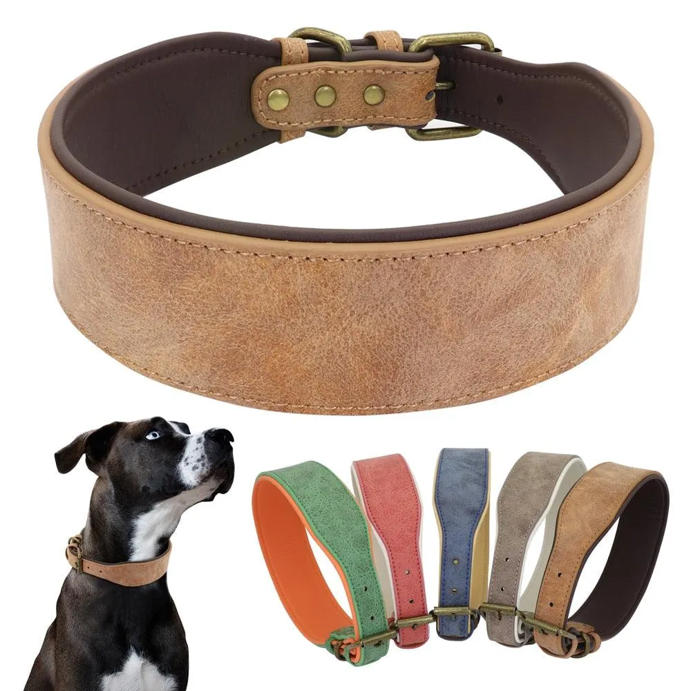 Soft Padded Wide Leather Dog Collar