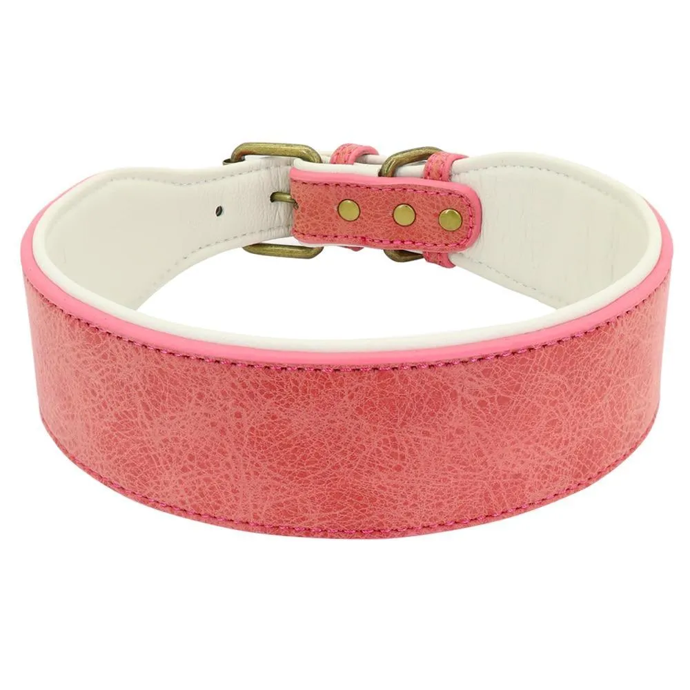 Soft Padded Wide Leather Dog Collar