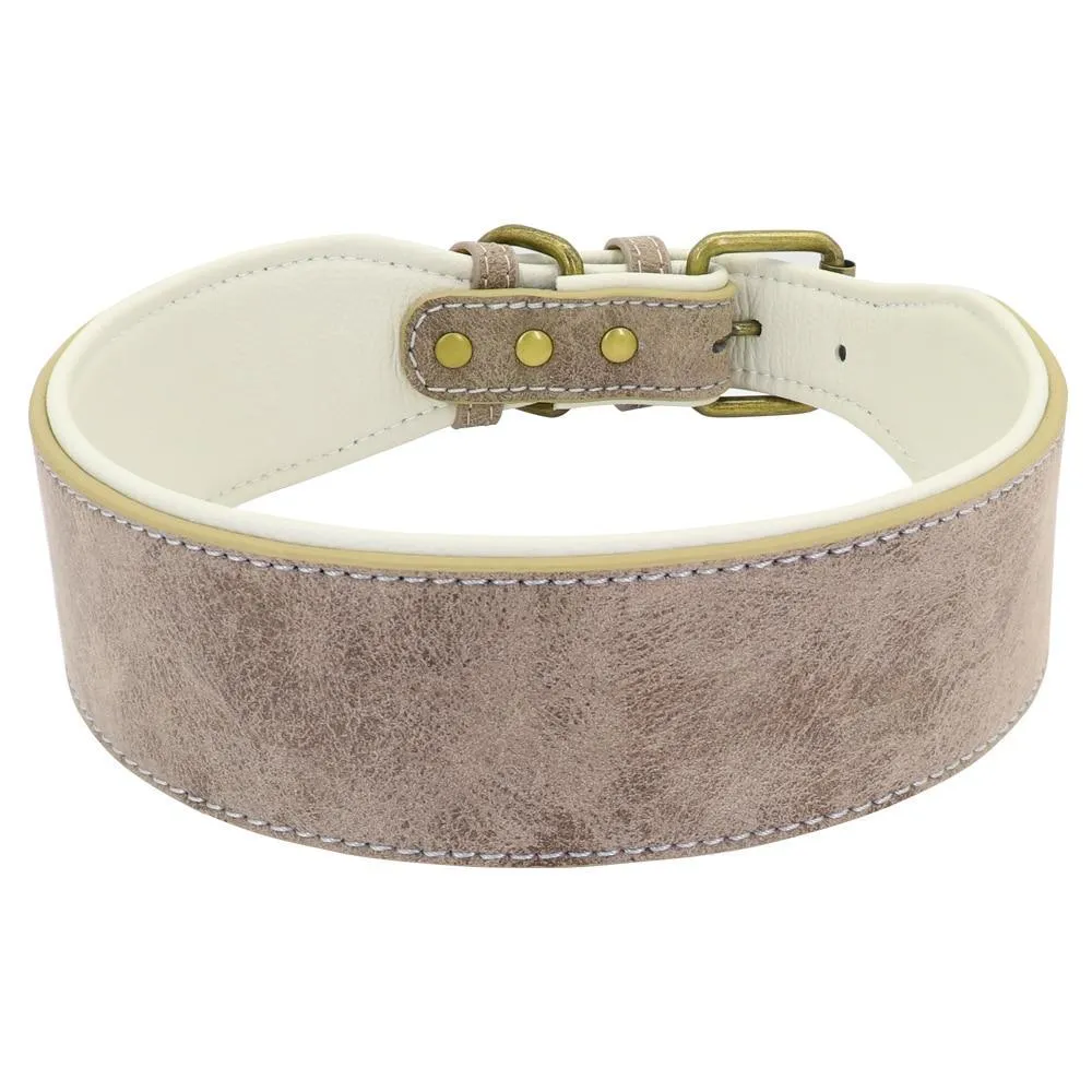 Soft Padded Wide Leather Dog Collar